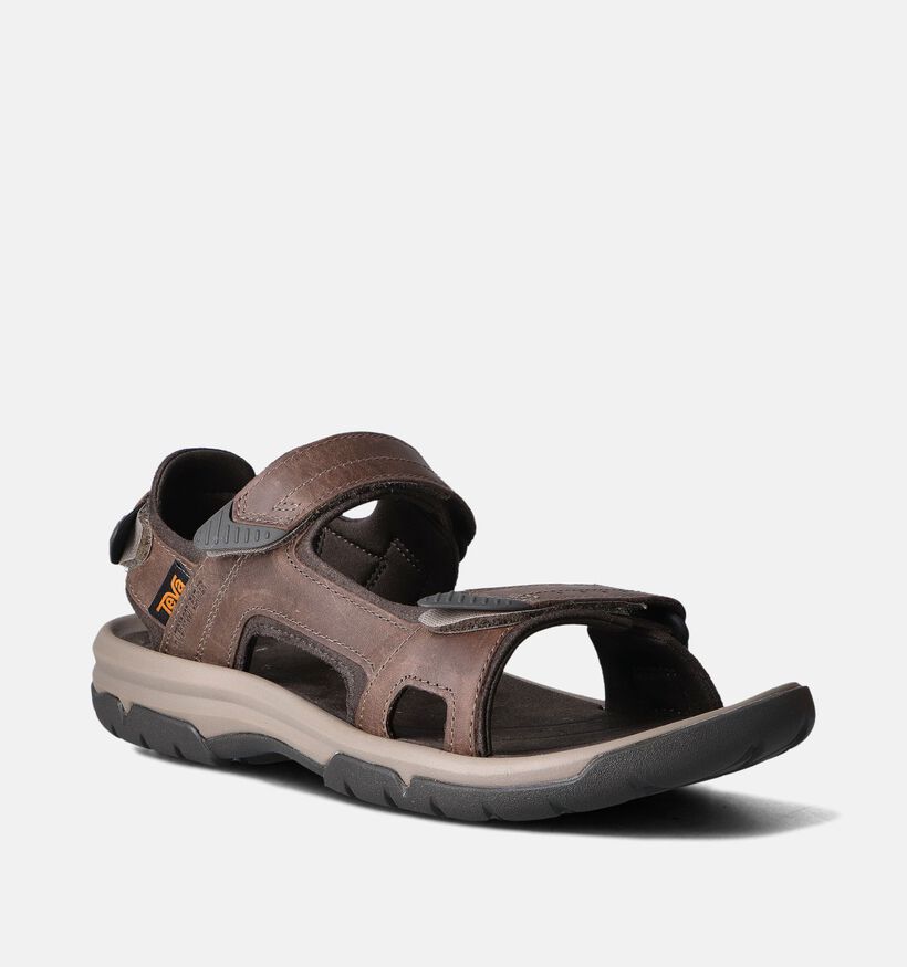 Teva Langdon Sandal Sandales de marche en Marron pour hommes (354633)