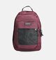 Eastpak Study Buddy Bordeaux Rugzak voor meisjes, jongens (366573)