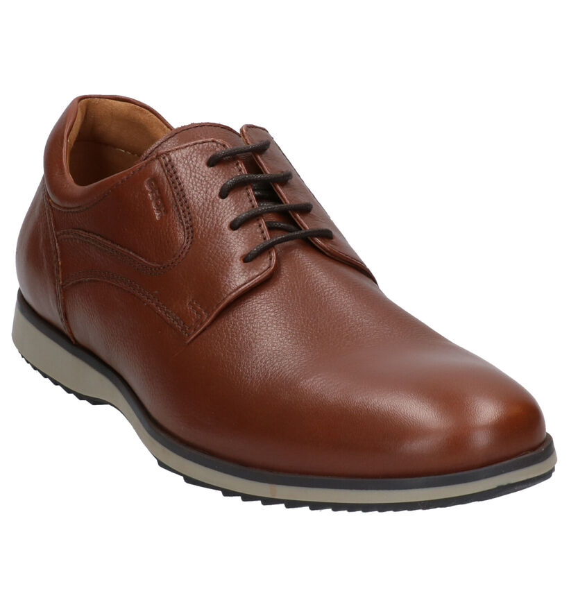 Geox Chaussures habillées en Cognac en cuir (270028)