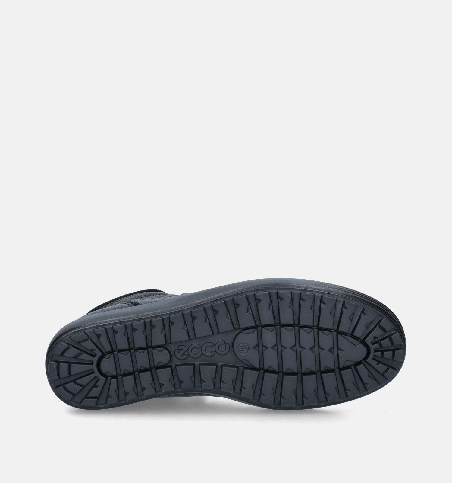 Torfs ecco new arrivals