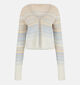 Guess Lichtbeige/Blauwe Cardigan voor dames (370371)