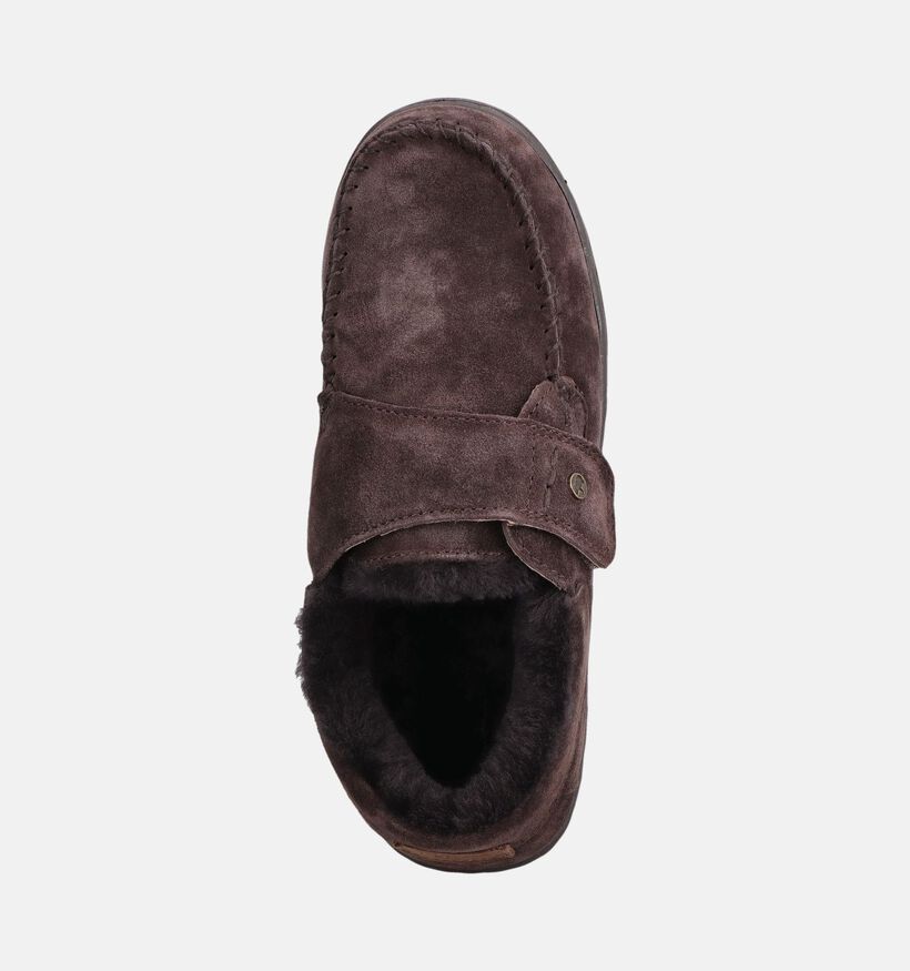 Warmbat Smithon Pantoufles en Marron fonc&eacute; pour hommes (379318)