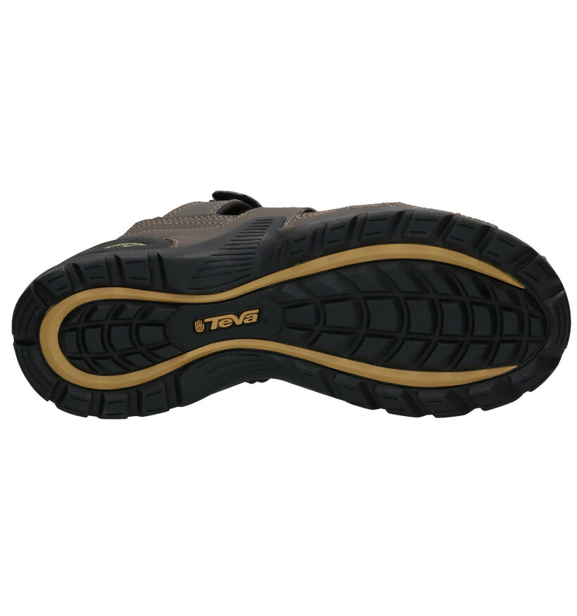 Teva Forebay Bruine Sandalen voor heren (321954)