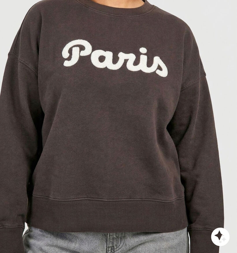 Vero Moda Curve Caisa Sweatshirt Paris en Brun fonc&eacute; pour femmes (382209)