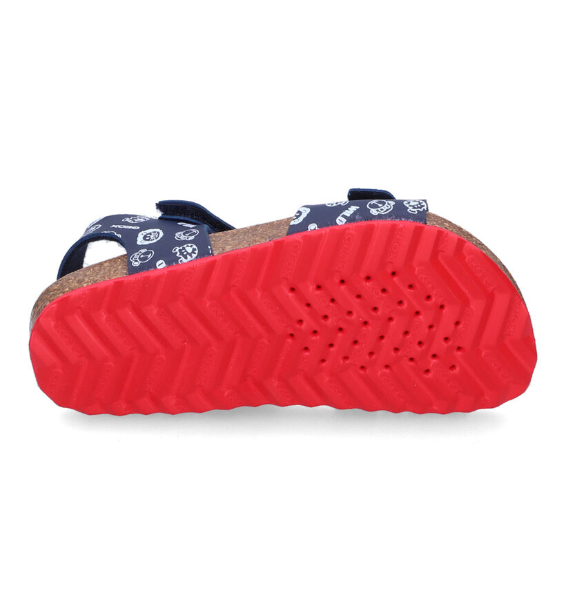 Geox Chalki Sandales en Bleu en simili cuir (303741)