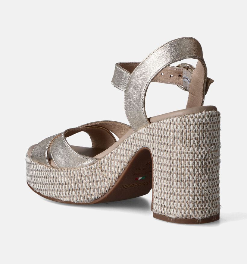 NeroGiardini Gouden Sandalen met blokhak voor dames (358357)