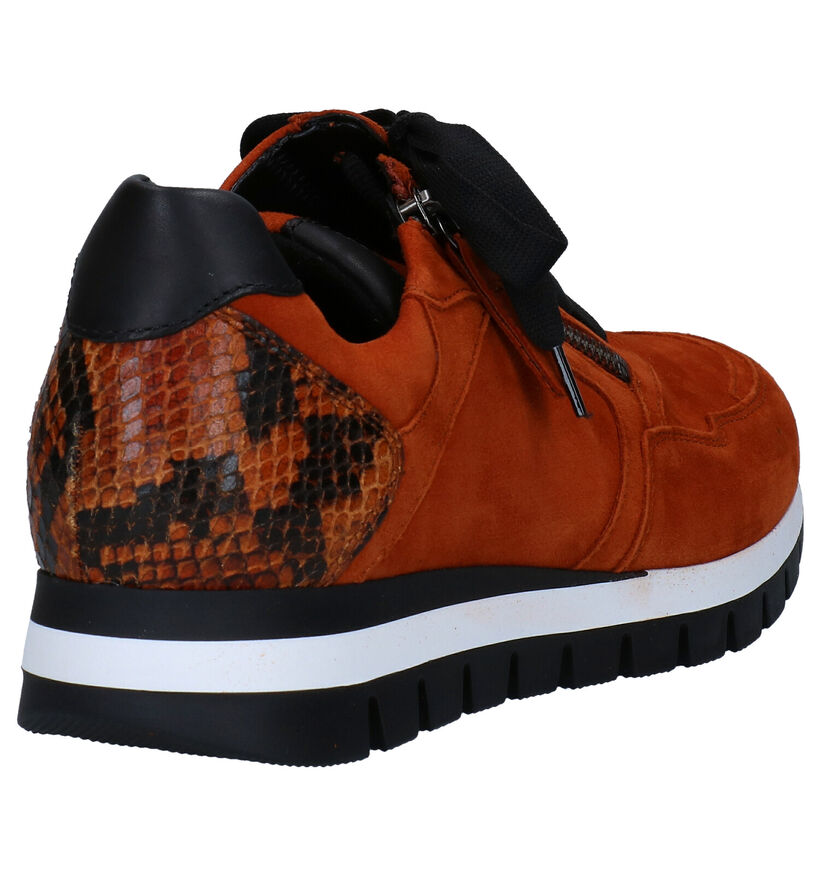 Gabor OptiFit Chaussures à lacets en Orange en nubuck (282469)