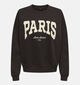 JDY Mesa Paris Donkerbruine Trui voor dames (365964)