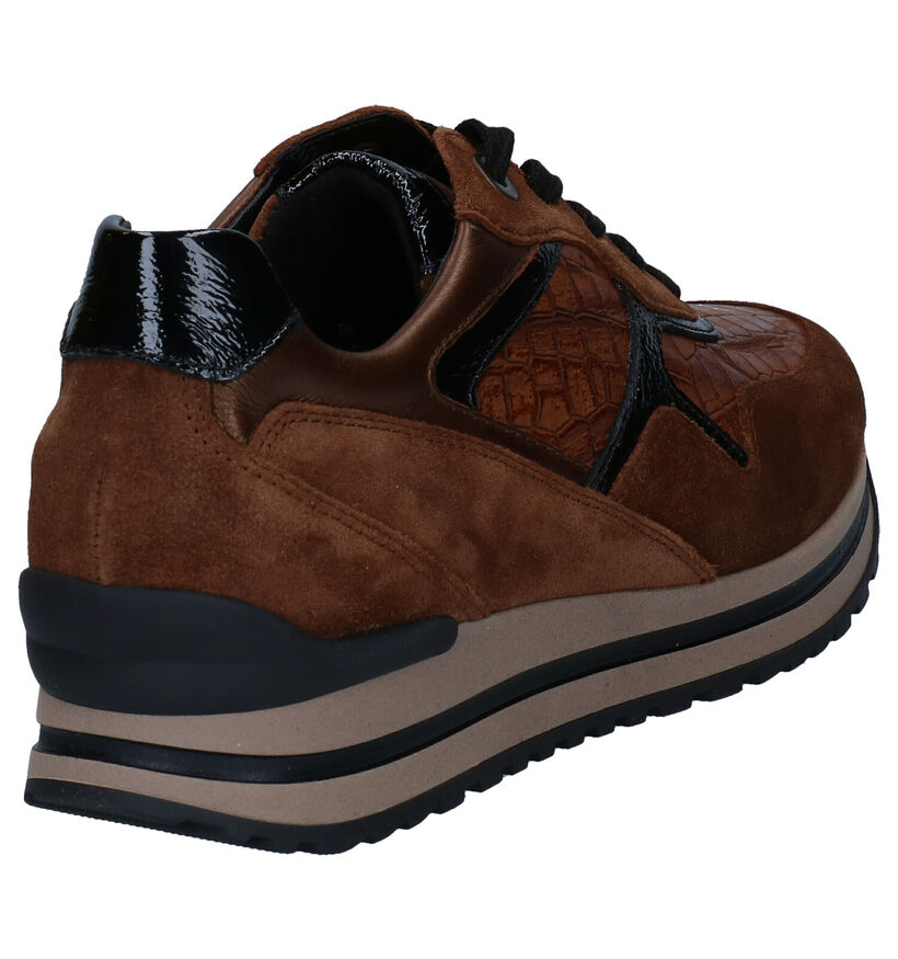 Gabor Comfort Chaussures à lacets en Cognac en cuir (297401)