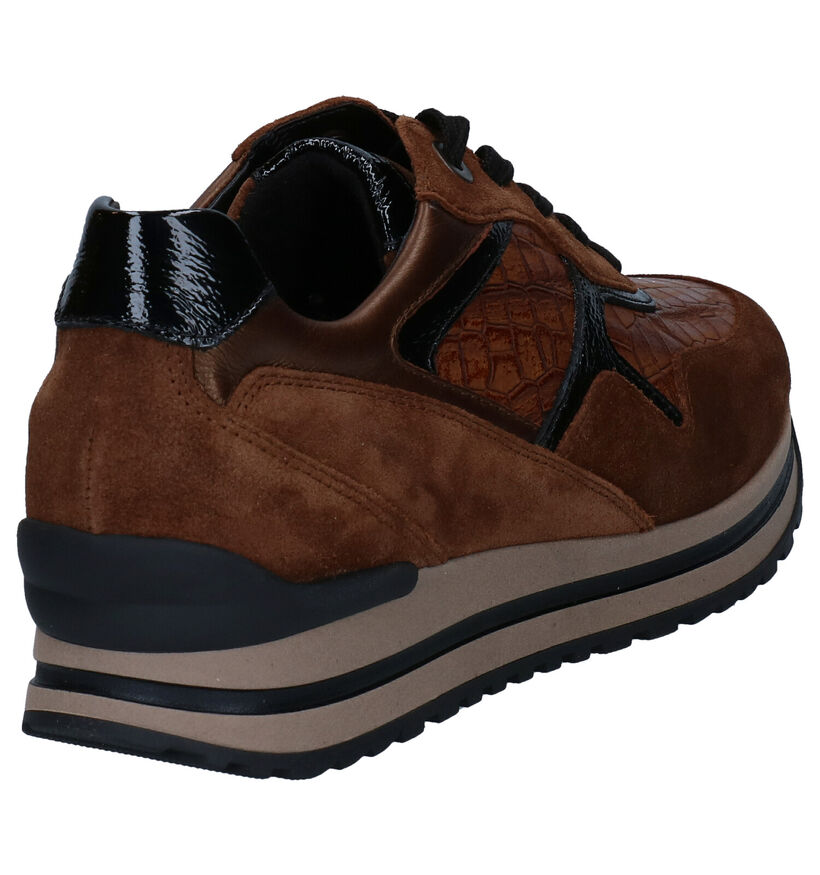 Gabor Comfort Cognac Veterschoenen in daim (297401)