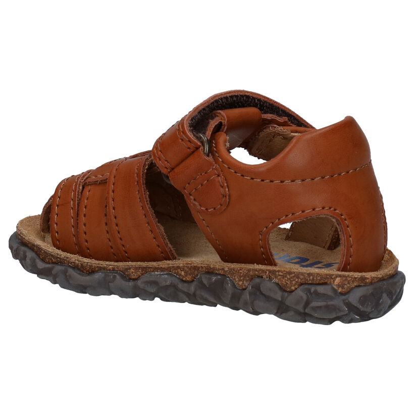 Stones and Bones Raxi Blauwe Sandalen voor jongens (287894)