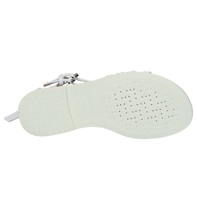 Geox Sandales en Beige en simili cuir (267454)