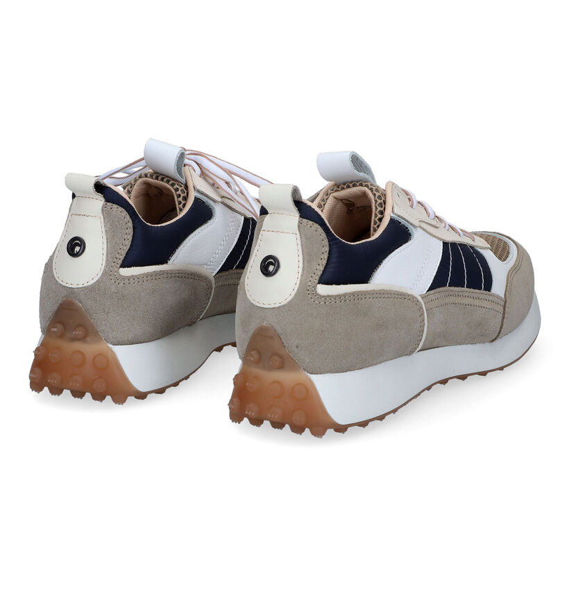 Goosecraft Dane Beige Sneakers voor heren (309802) - geschikt voor steunzolen