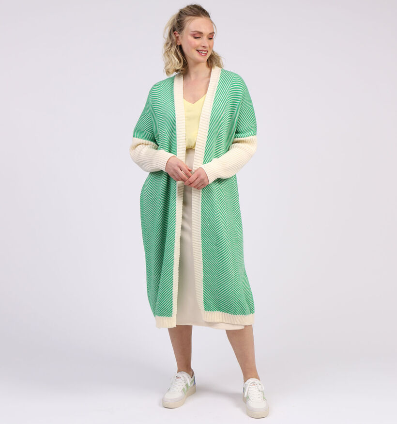 Dole C. Groene Cardigan (315033)