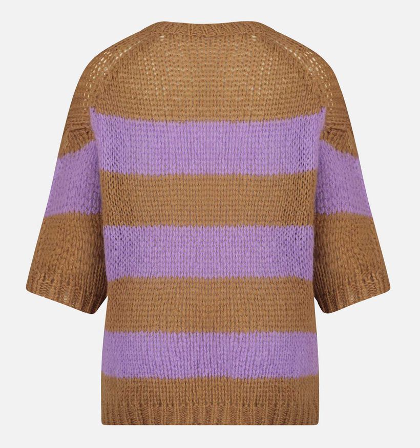 Expresso Paarse Gestreepte trui voor dames (351049)