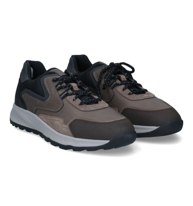 Geox Terrestre Chaussures à lacets en Gris pour hommes (312689) - pour semelles orthopédiques