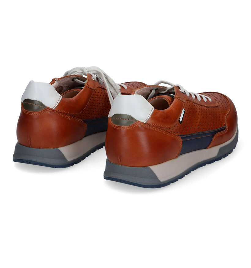 Pikolinos Cambil Cognac Veterschoenen in leer (308027)