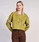 Orfeo Pull en Vert kaki pour femmes (364324)