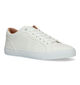 Esprit Witte Sneakers voor dames (320795)