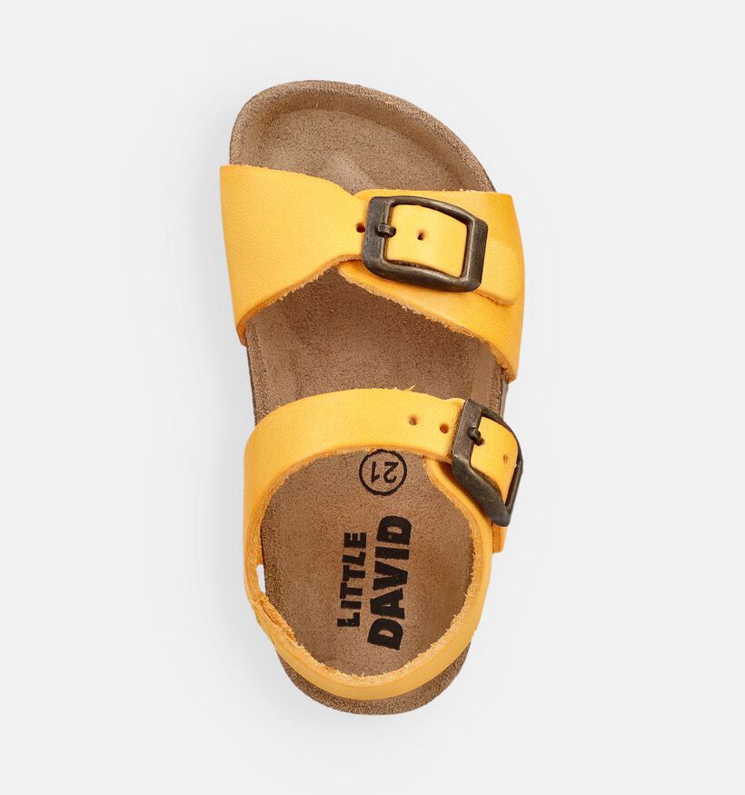 Little David Sandales pour b&eacute;b&eacute; en Taupe pour filles, gar&ccedil;ons (373077)