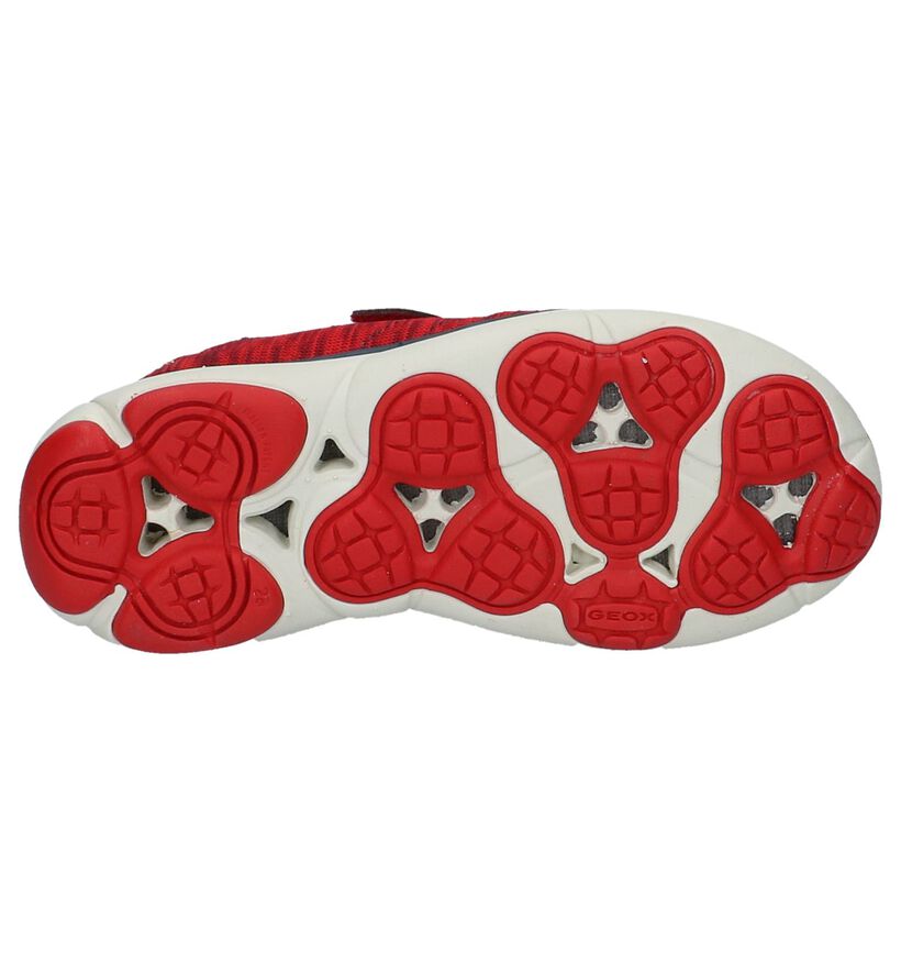 Geox Baskets basses en Rouge en textile (210536)