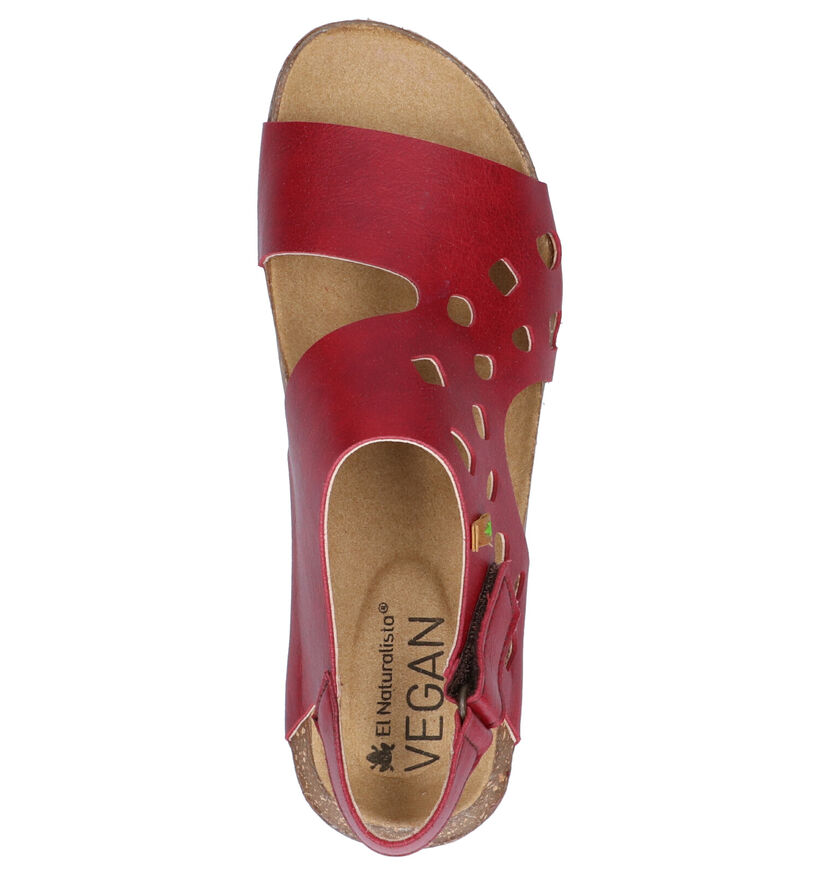 El Naturalista Vegan Wakataua Sandalen Bordeaux (270332)