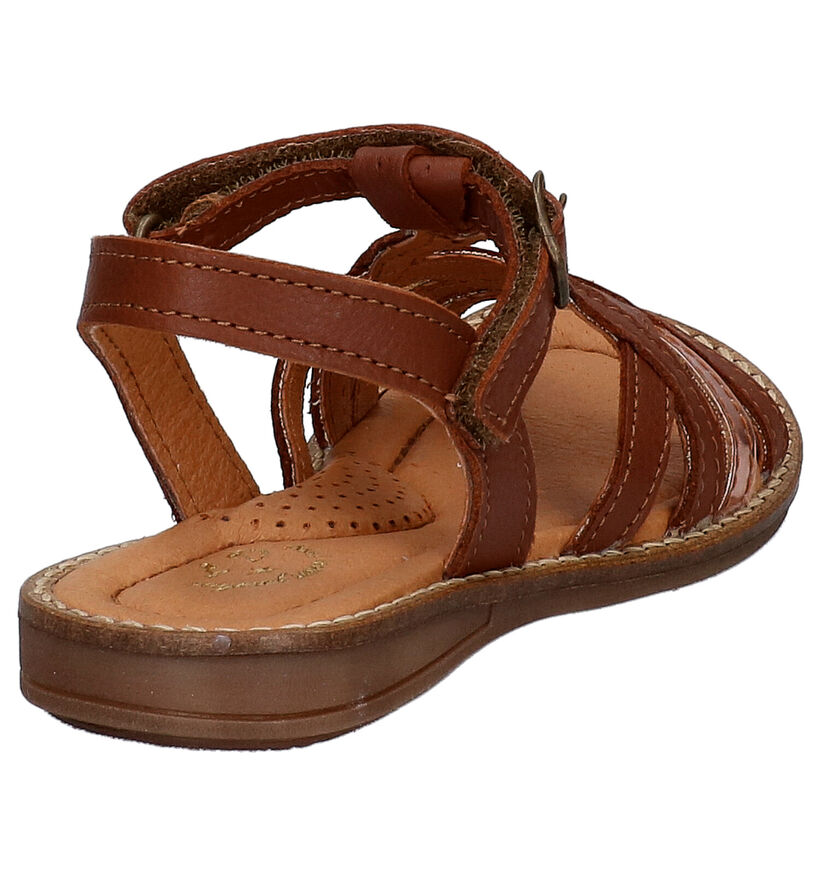 Little David Sandra Bruine Sandalen in leer (273171)