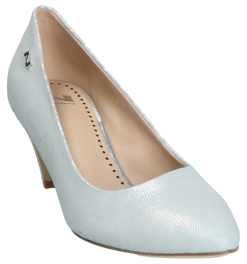 Nathan-Baume Escarpins classique en Argent en nubuck (246207)