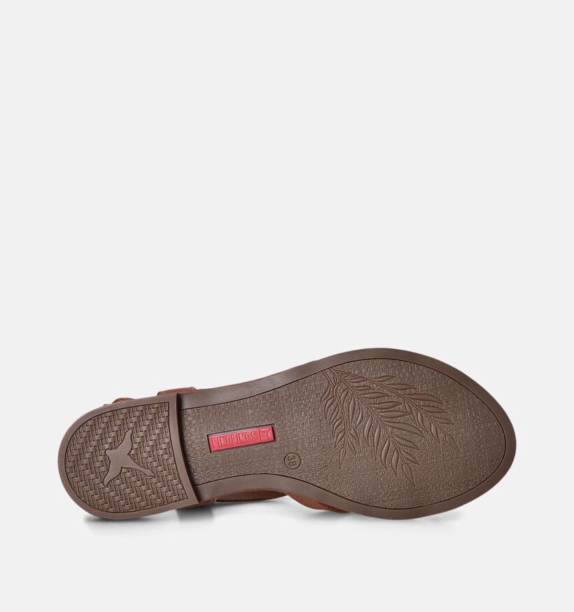 Pikolinos Algar Sandales en Cognac pour femmes (354674)
