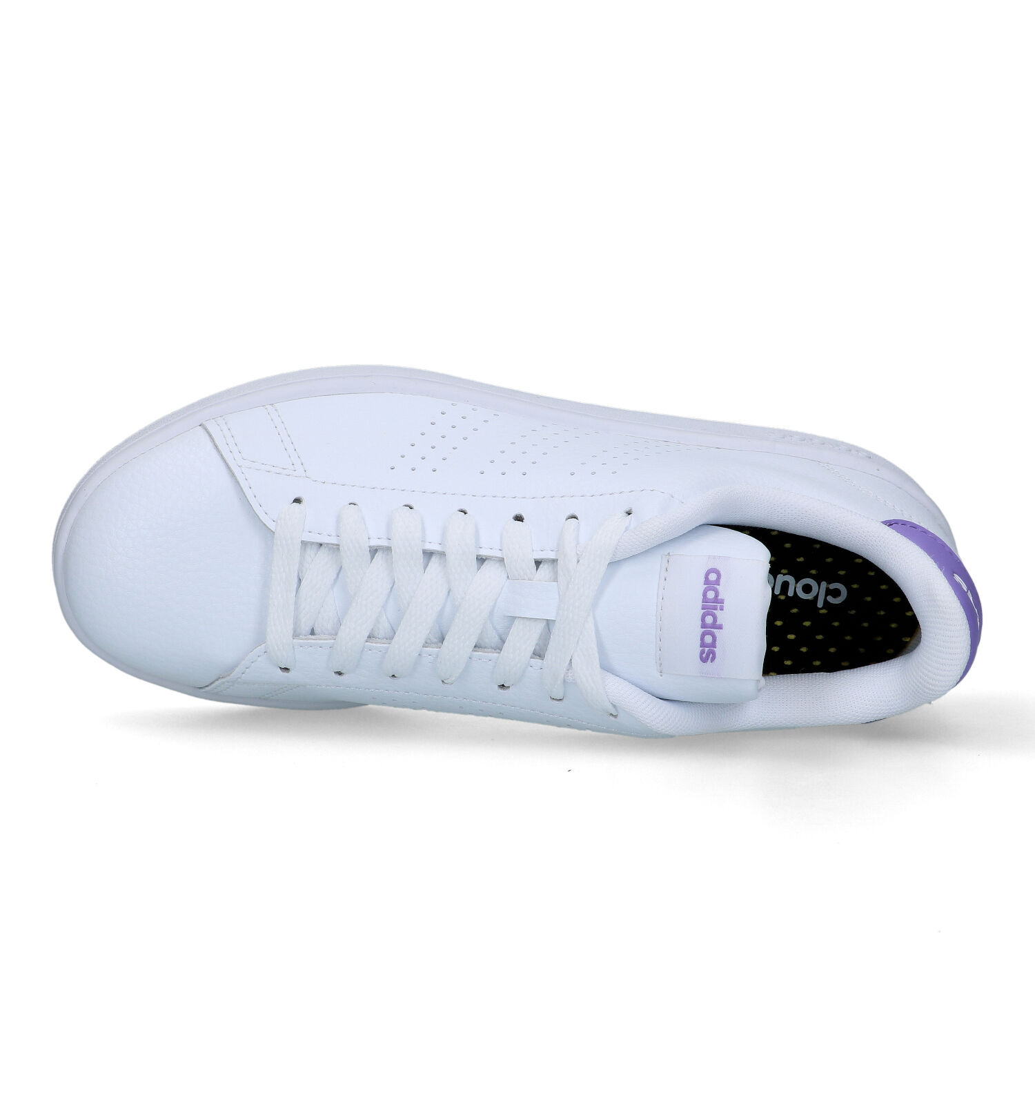 adidas Advantage Witte Sneakers Dames Sneakers Online op TORFS.BE