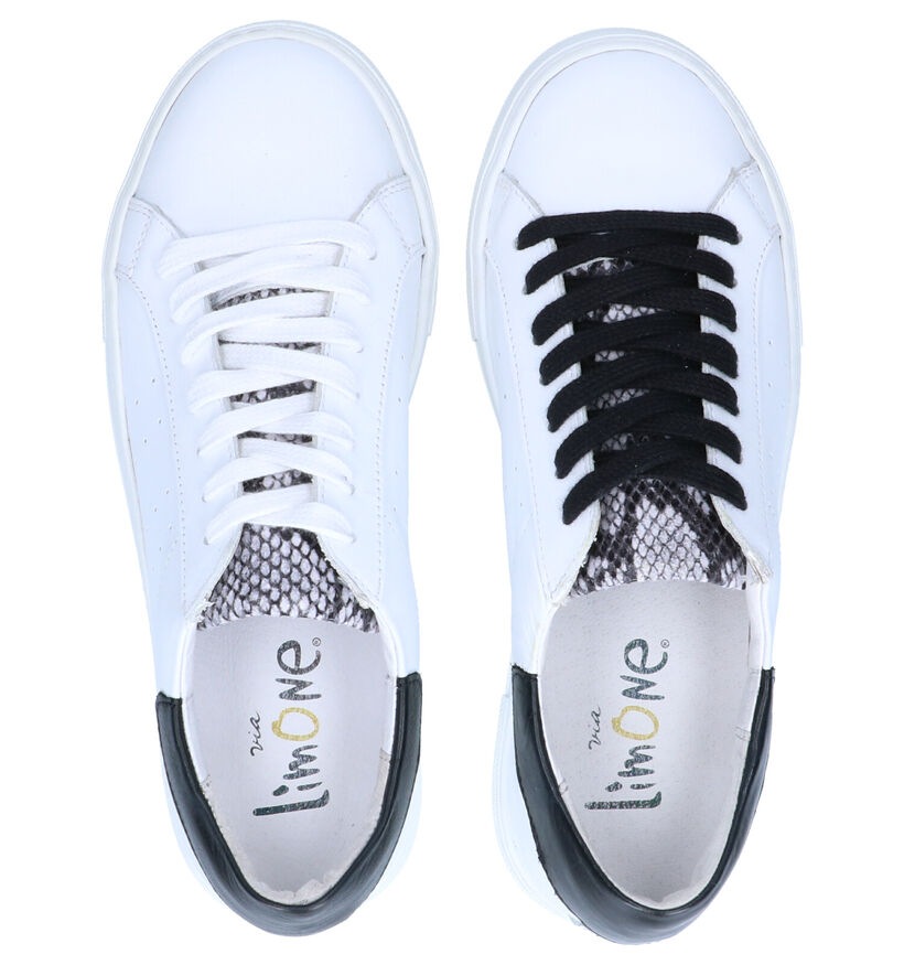 Via Limone Witte Veterschoenen in leer (264965)