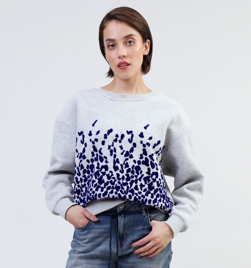 Orfeo Clarice Grijze Sweater voor dames (335141)
