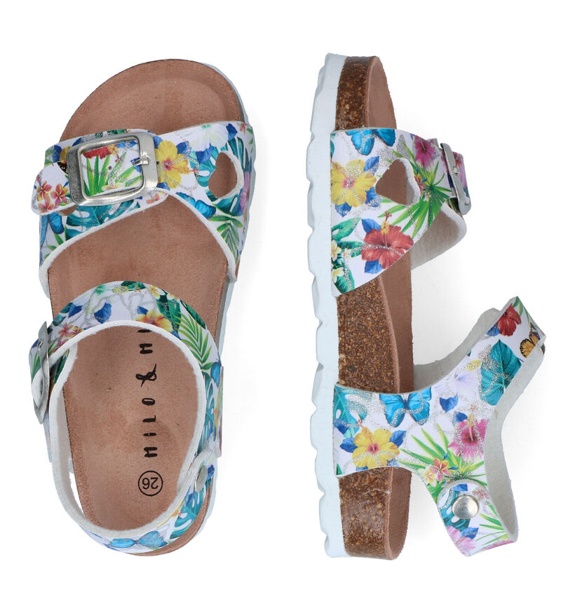 Milo & Mila Sandales en Multicolore en simili cuir (304574)