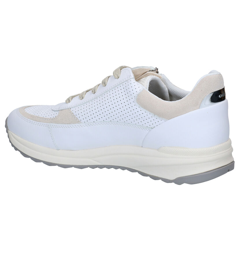 Geox Airell Chaussures à lacets en Blanc en cuir (285578)