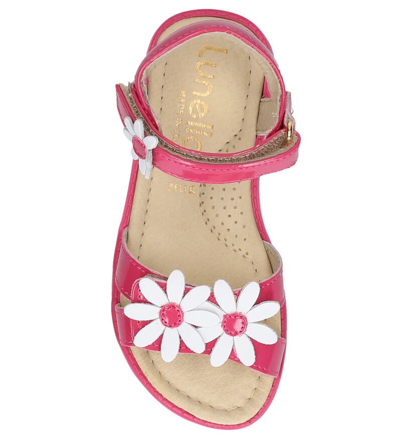 Lunella Sandales en Rose fuchsia en cuir (238976)