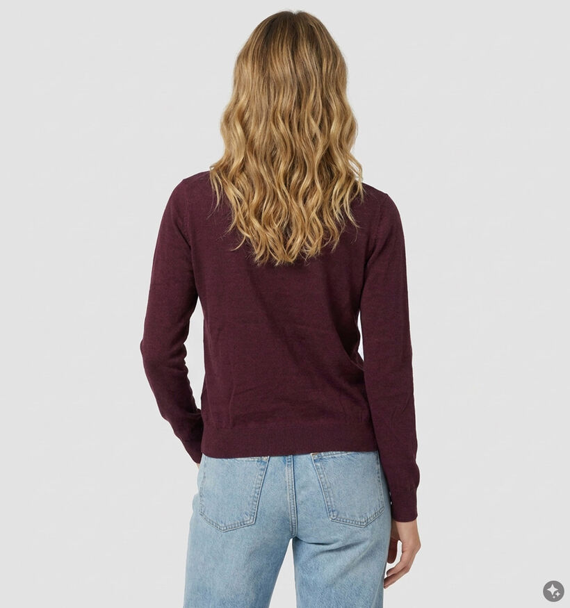 Orfeo Aliz Pull en Bordeaux pour femmes (381668)