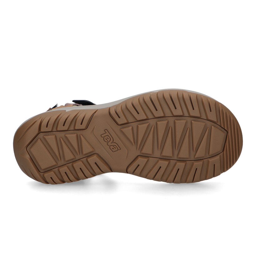 Teva Hurricane Sandales en Cognac pour hommes (321942)