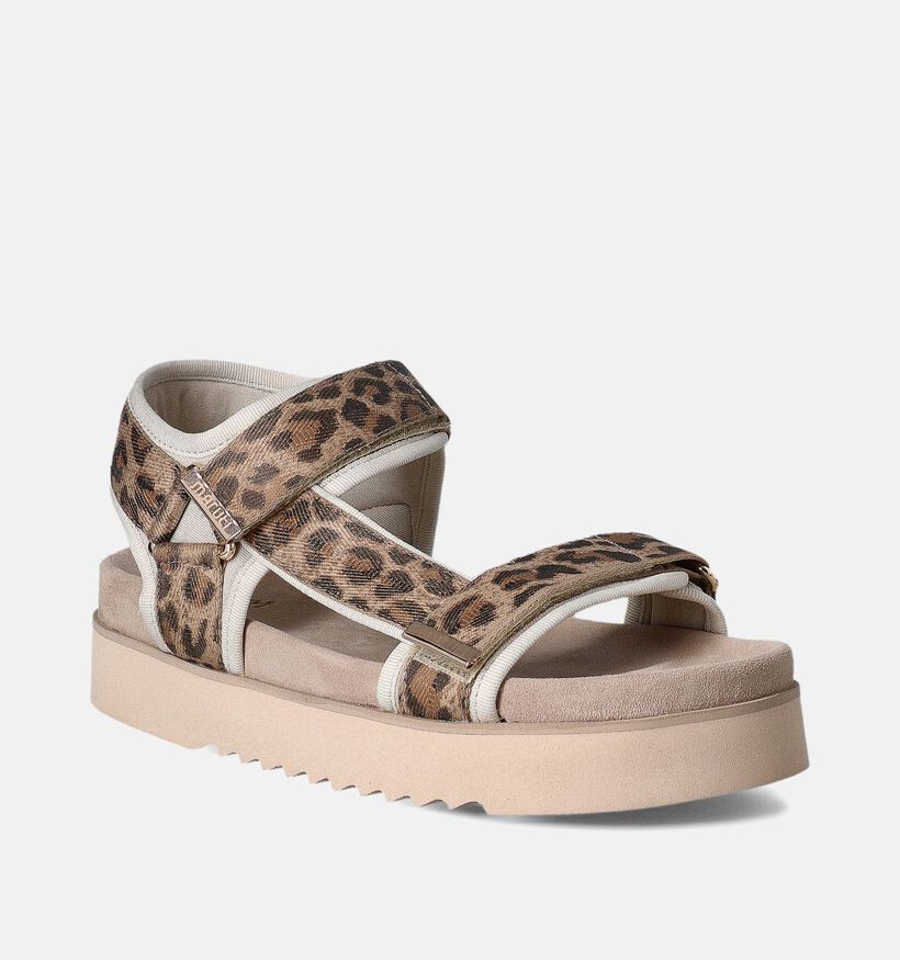 Maruti Beau Sandalen Bruin voor dames (355860)