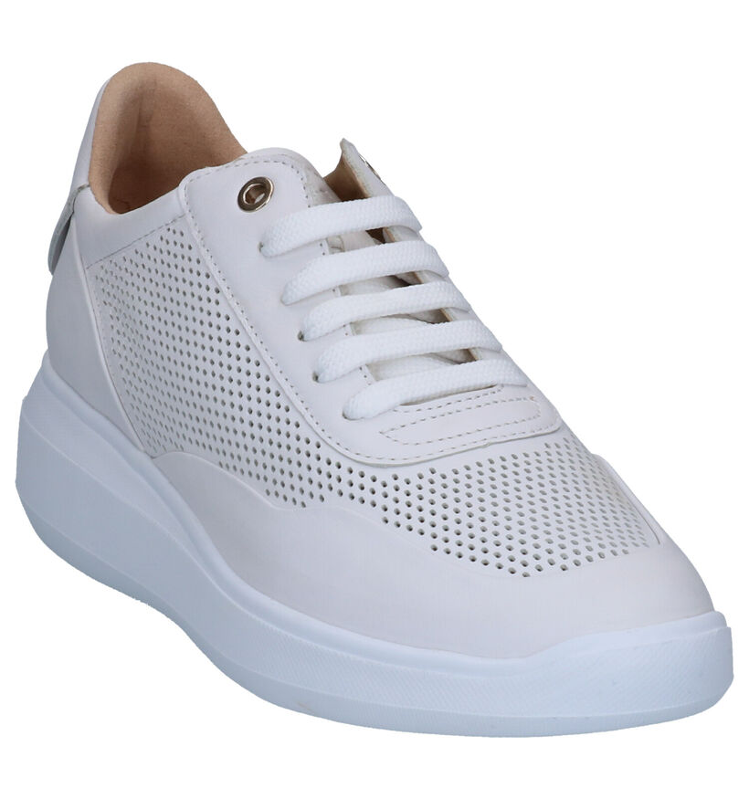 Geox Baskets habillées en Blanc en cuir (266825)