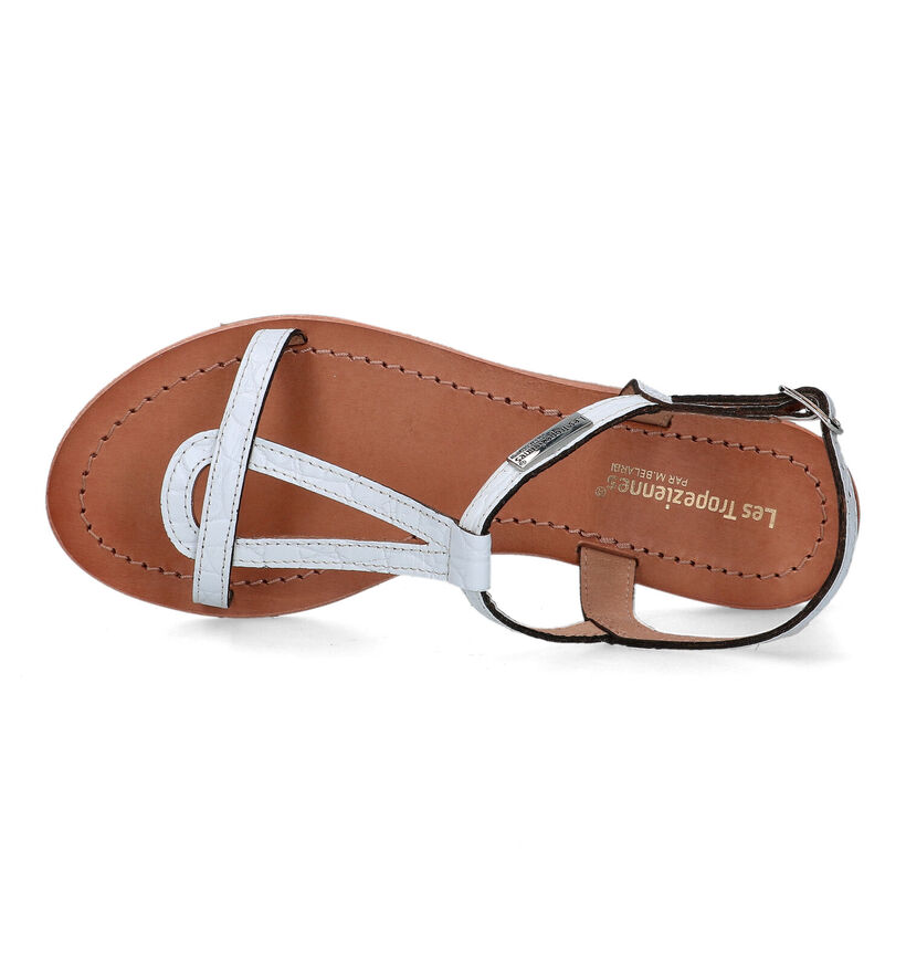 Les Tropeziennes Hacroc Zwarte Sandalen in leer (324762)