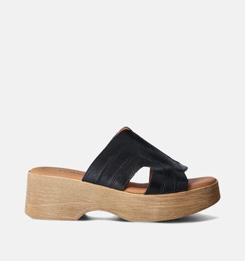 Nu-pieds noir