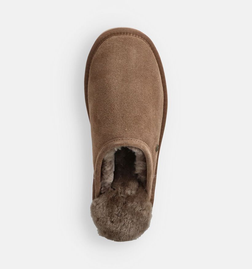 Warmbat Pantoufles ouvertes en Marron pour hommes (363333)