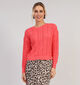 Vero Moda Newverena Rode Trui voor dames (352166)
