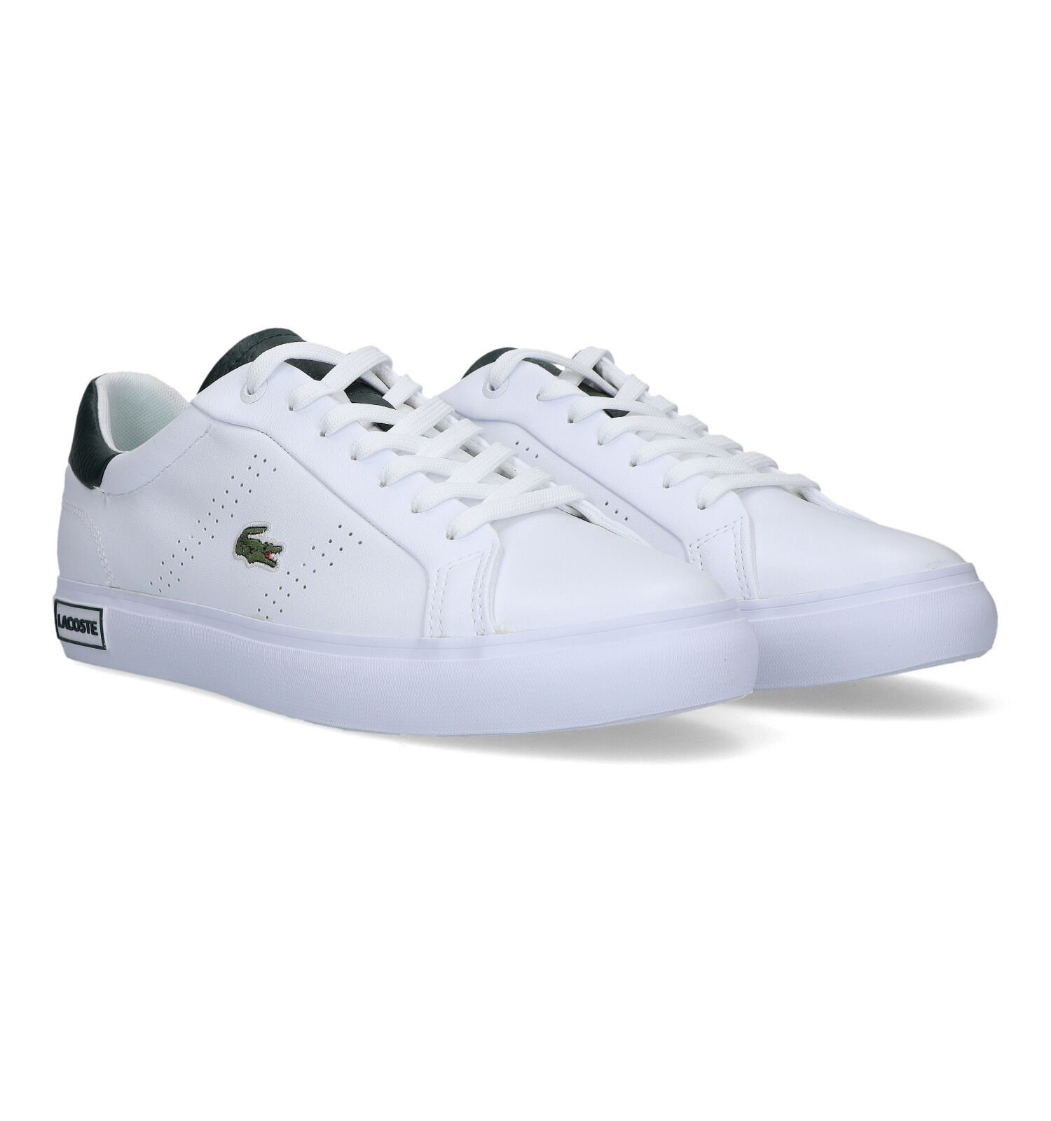 Lacoste mannen on sale schoenen