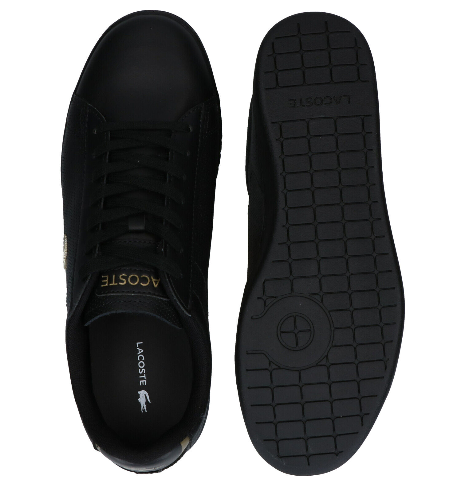 Lacoste Carnaby Evo Zwarte Sneakers | TORFS.BE | Gratis verzend en retour