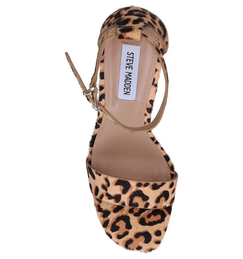 Steve Madden Evette Beige Sandalen in leer (252188)