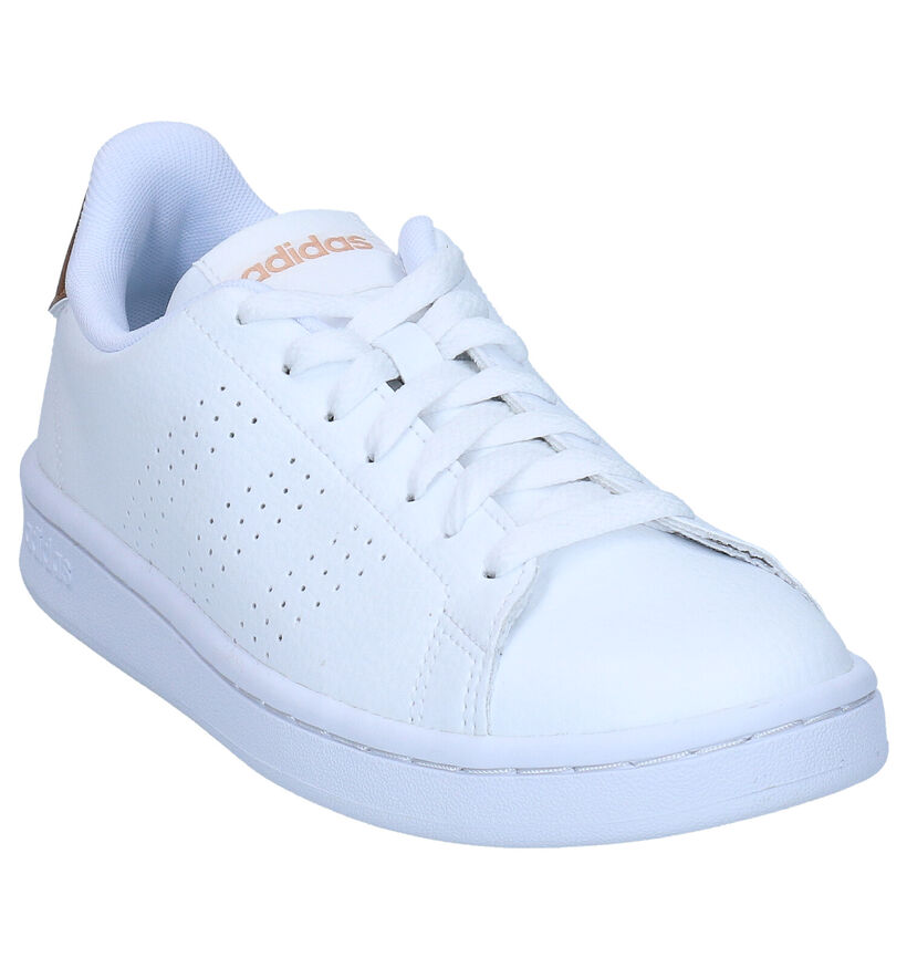 adidas Advantage Baskets en Blanc pour femmes (341435)