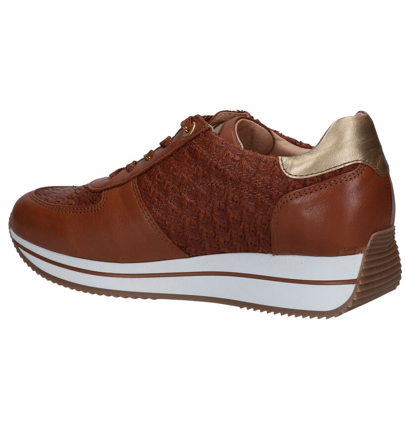 River Woods Amara Cognac Veterschoenen in leer (298429)