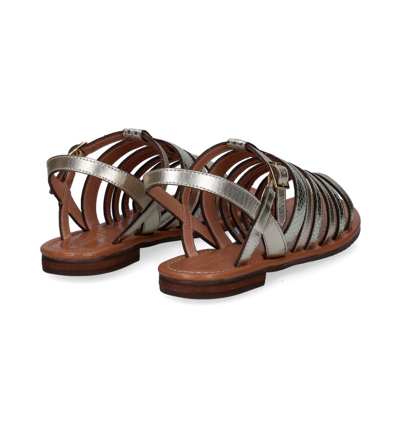 Geox Sozy Gouden Sandalen voor dames (303531)