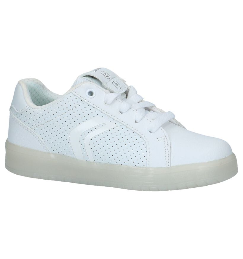 Geox Baskets basses en Blanc en simili cuir (223139)